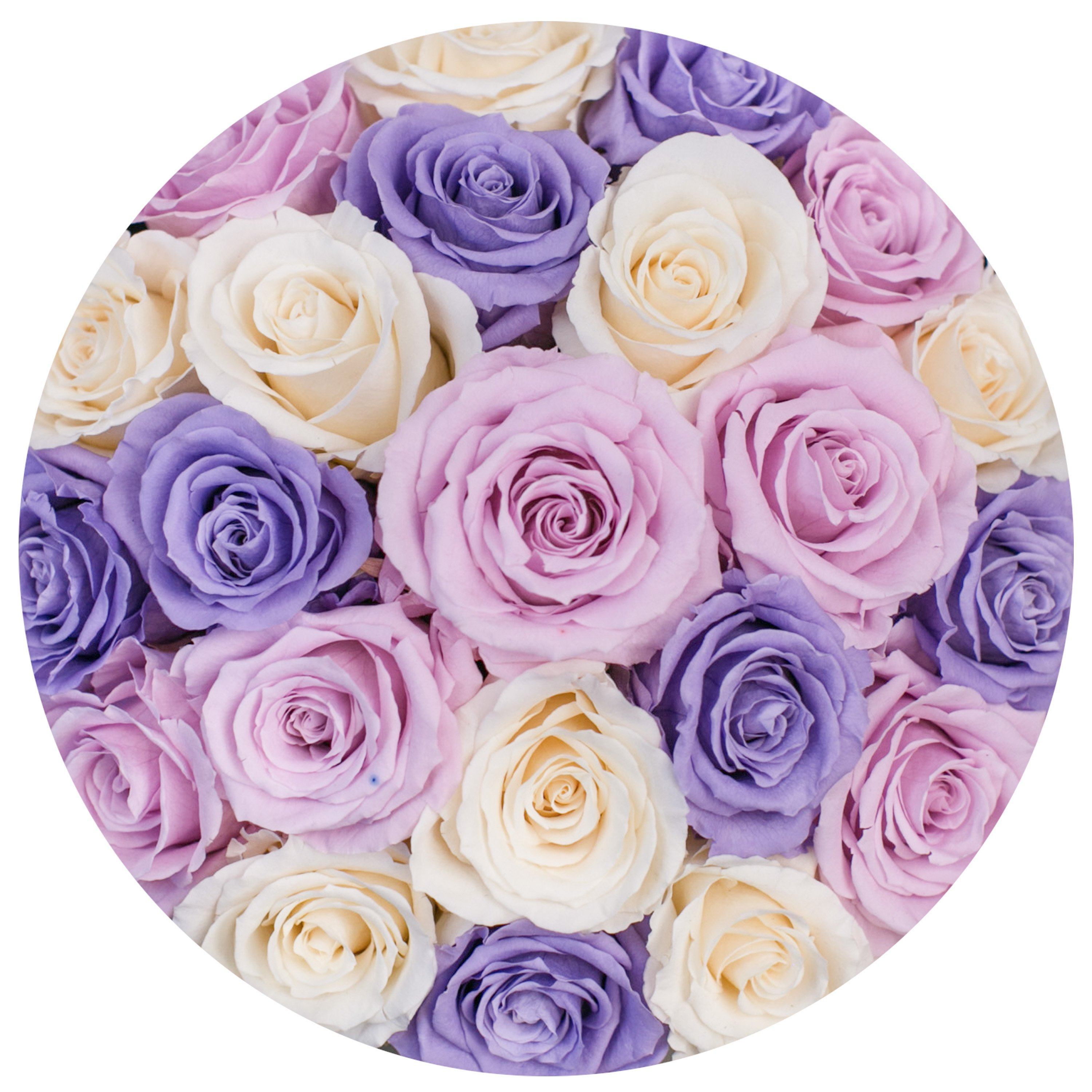 classic round box - light-pink suede box - violet/ivory/pink roses violet eternity roses - the million roses