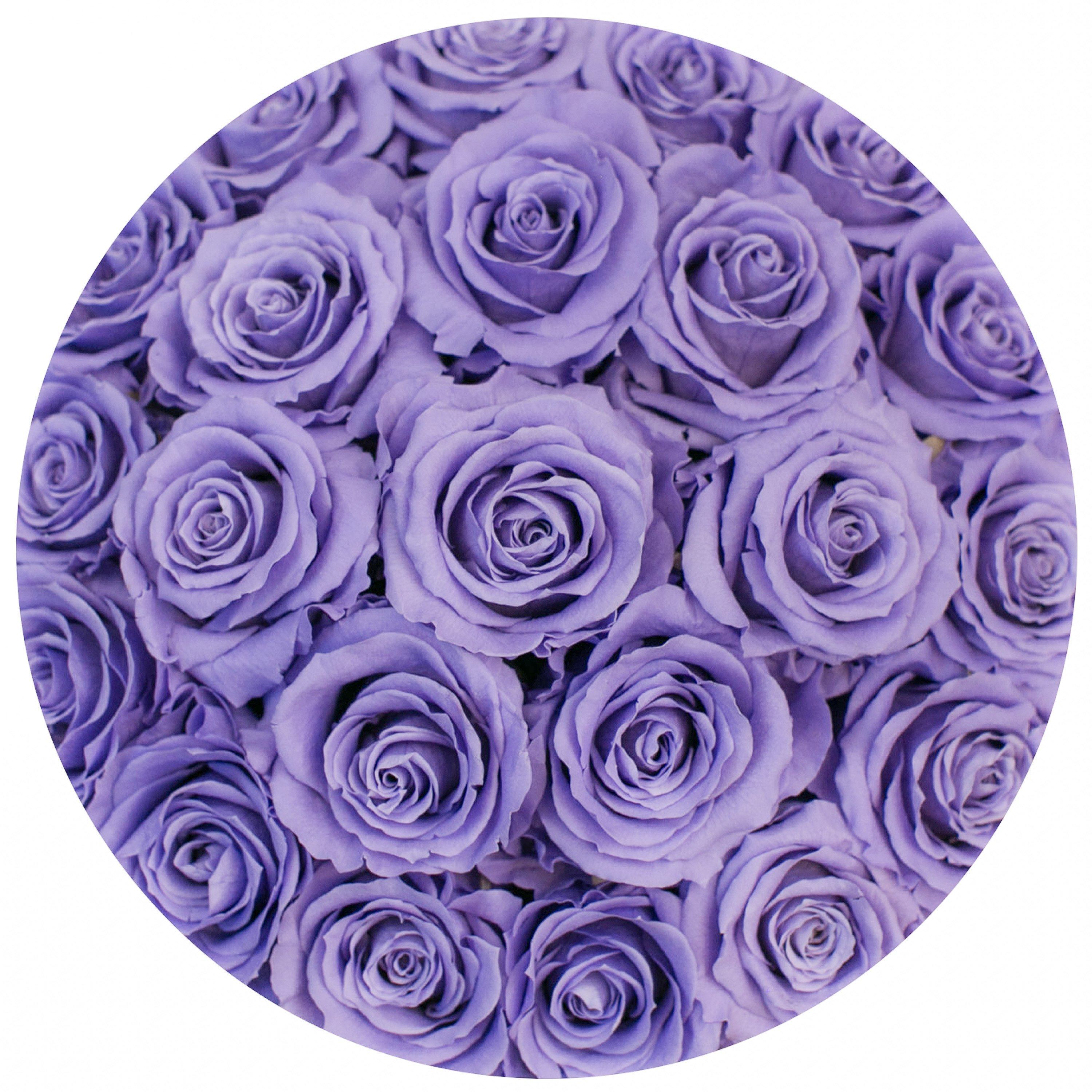 classic round box - hot-pink suede box - violet roses ( dome ) violet eternity roses - the million roses