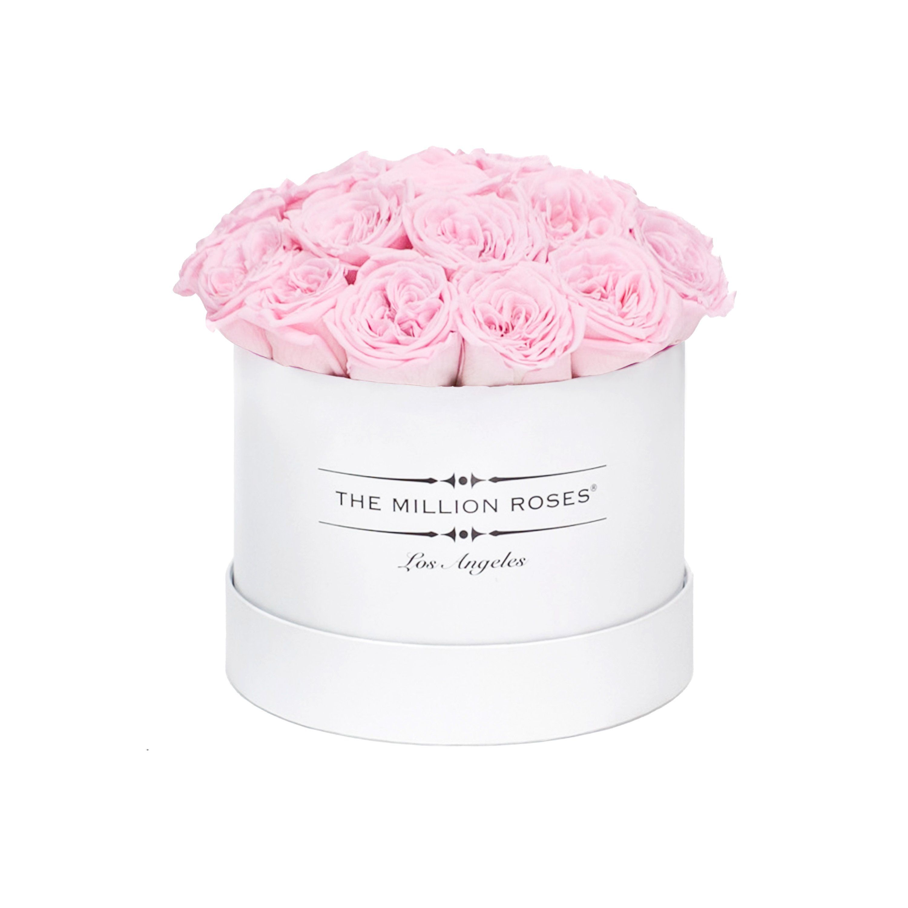 classic round box - white - light-pink GARDEN roses eternity garden roses - the million roses
