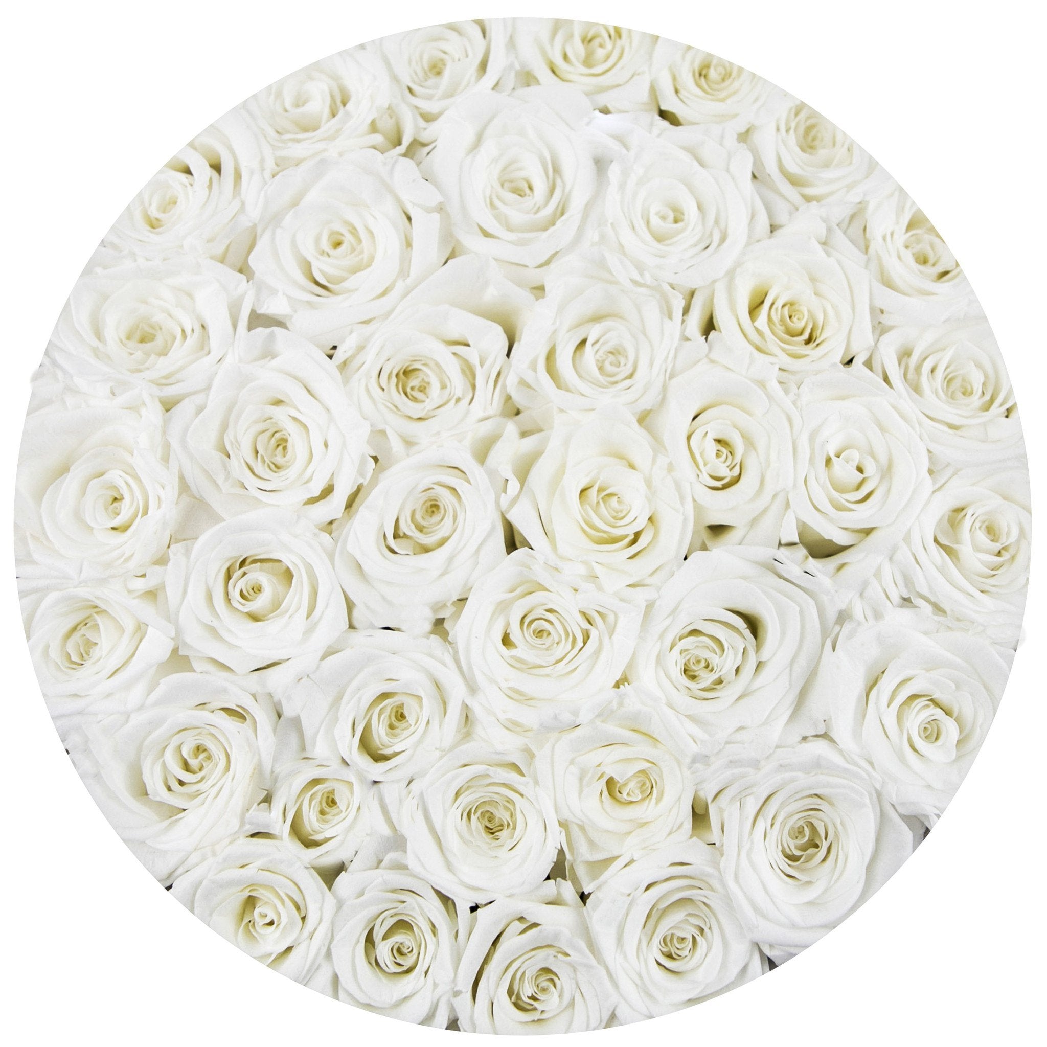 medium round box - black - white roses white eternity roses - the million roses
