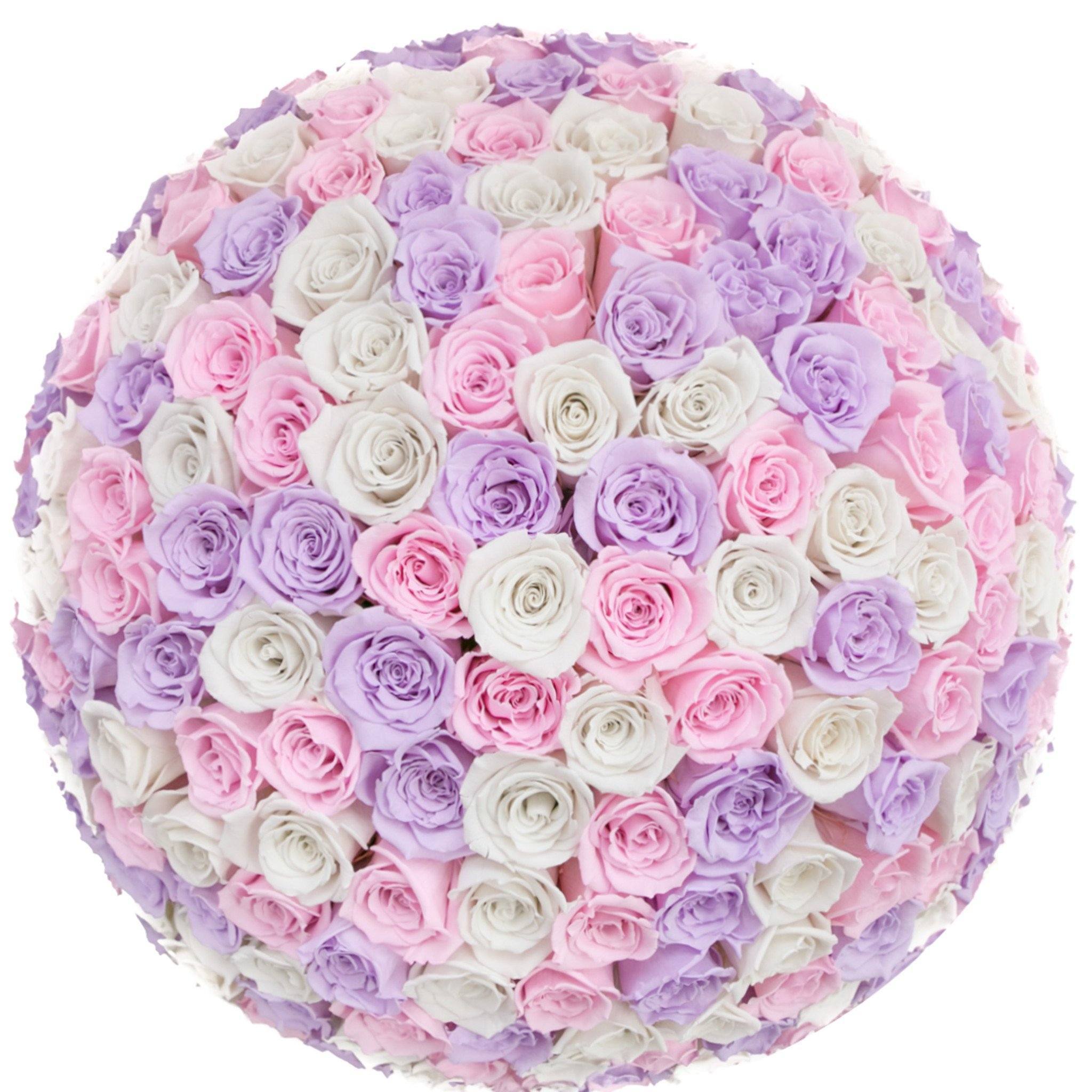 the million LARGE  DOME box - white - white-pink-lavender (dome) ETERNITY roses mixed eternity roses - the million roses